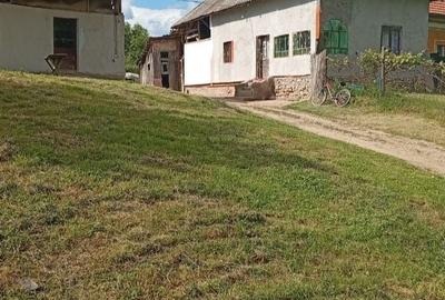 Casă cu 4 camere în Valea Siliștii - 3