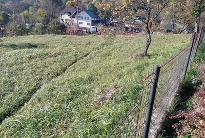 Teren de 1028 mp, în Băcești - 3