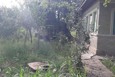 Casă cu 4 camere cu Teren 1200 Mp în Amara