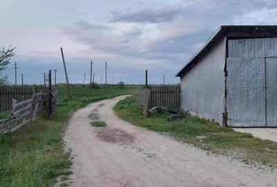 Teren agricol intravilan de 5 mp, în Ciuperceni (Cosmești) - 8