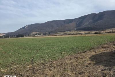 Teren de 16000 mp, în Tractorul - 5