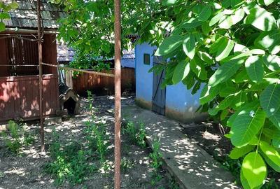 Casă cu Teren 15 Mp în Central - 5