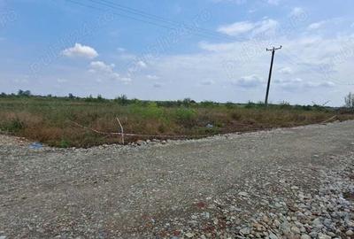Teren de 977 mp, în Odăile - 5