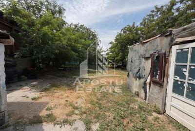 Casă individuală cu 5 camere cu Teren 225 Mp în Fratelia - 10