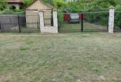 Casă cu 5 camere cu Teren 4000 Mp în Smârdan - 6