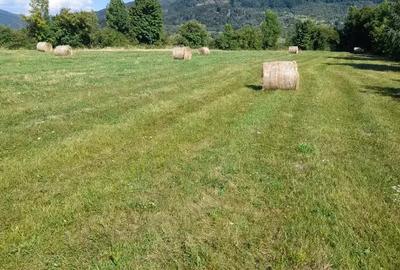 Teren în Bistra Mureșului