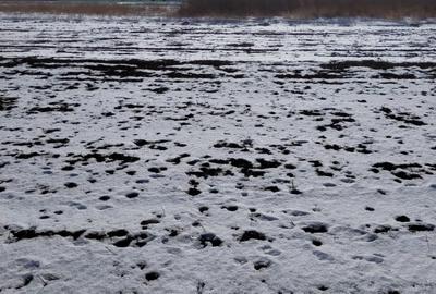 Teren de 800 mp, în Hărman - 5