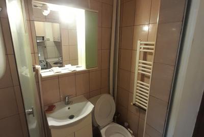 Garsonieră decomandată în Exterior Vest - 7