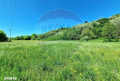 Teren de 8500 mp, în Cașin - 5