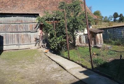 Casă cu 3 camere cu Teren 2506 Mp în Trei Sate