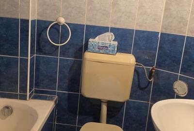 Casă cu 3 camere cu Teren 220 Mp în Cantemir - 6