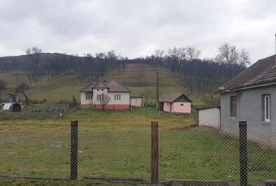 Casă cu 2 camere cu Teren 3343 Mp în Silivaș