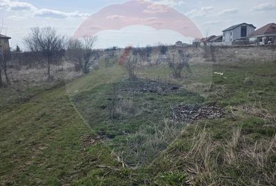 Teren de 500 mp, în Balotești