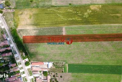 Teren de 2900 mp, în Obreja