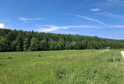 Teren de 670 mp, în Vlădeni - 1