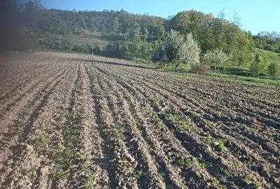 Teren de 4 mp, în Sichevița - 4
