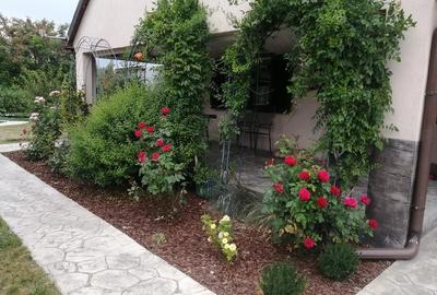 Casă cu Teren 1457 Mp în Rudna - 8