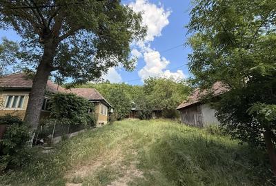 Casă cu 2 camere în Căianu Mare
