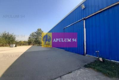 Spațiu industrial, de 4,850 mp, în 1 Decembrie
