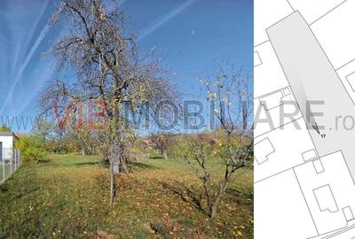 Teren intravilan de 3163 mp, în Brebu Mânăstirei - 11