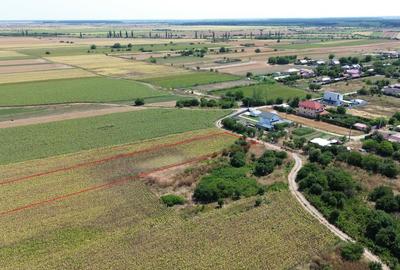 Teren Construcții intravilan de 10000 mp, în Dârza - 1