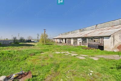 Spațiu comercial, de 1,690 mp, în Orțișoara - 1