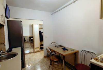 Apartament cu 2 camere semidecomandat, mobilat în Iosefin - 10