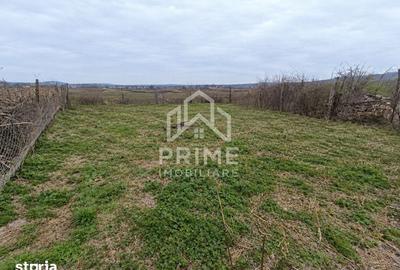 Teren de 480 mp, în Berghin