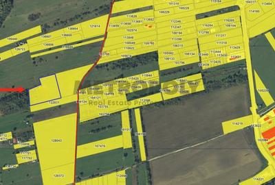 Teren agricol extravilan de 10000 mp, în Arhitecților - Calea Cisnădiei - 2