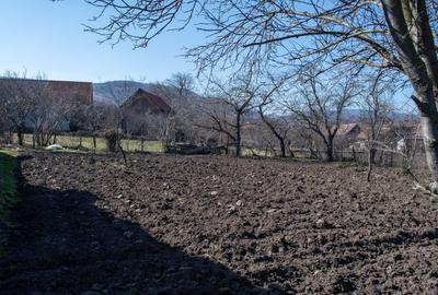 Casă cu 3 camere în Moldovenești - 1
