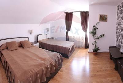 Hotel/Pensiune, de 750 mp, în Făget - 6