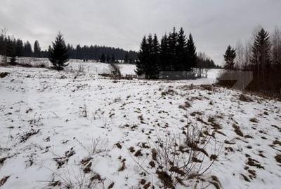 Teren de 10746 mp, în Fundu Moldovei - 1