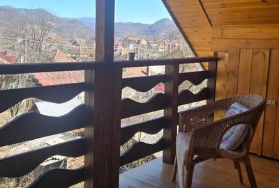 Casă cu 2 camere în Criș - 2