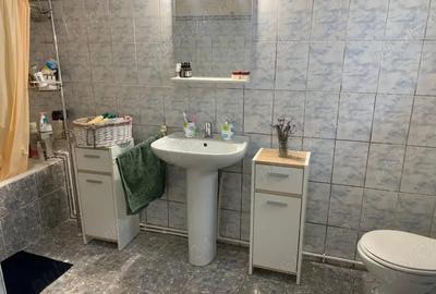 Casă cu 6 camere cu Teren 3000 Mp în Balinț - 1
