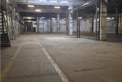 Spațiu industrial, de 5,500 mp, în Est - 2