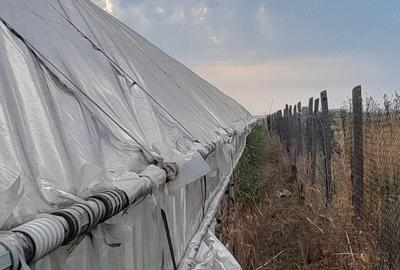Teren de 5000 mp, în Coteana