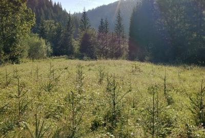 Teren de 3800 mp, în Capu Corbului - 5