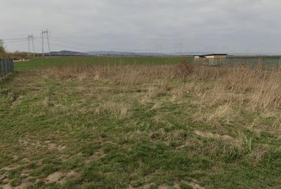 Teren de 1017 mp, în Săcele - 2