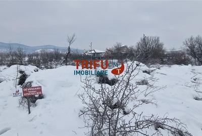 Spațiu comercial, în Central
