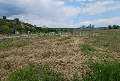 Teren Construcții intravilan de 17000 mp, în Malcoci - 4