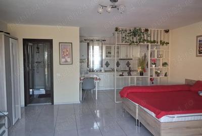 Casă cu 8 camere cu Teren 1000 Mp în Central - 6