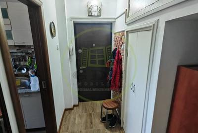 Apartament cu 2 camere semidecomandat, mobilat în Brazda lui Novac - 7