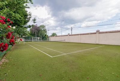 Casă individuală cu 19 camere cu Canalizare în Pantelimon - 2