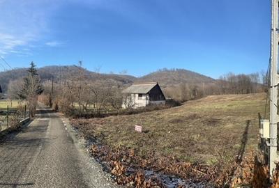 Teren intravilan de 3600 mp, în Tăuții-Măgherăuș