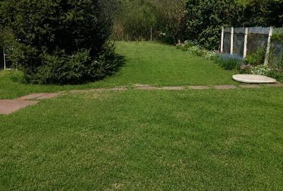 Casă cu 4 camere cu Teren 1100 Mp în Central