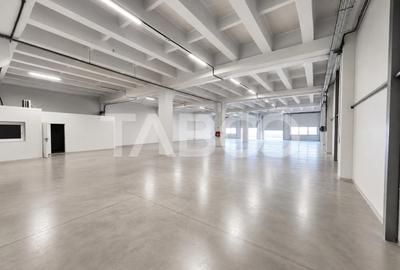 Spațiu industrial, de 6,917 mp, în Broscărie - 1
