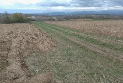 Teren de 13600 mp, în Știuca