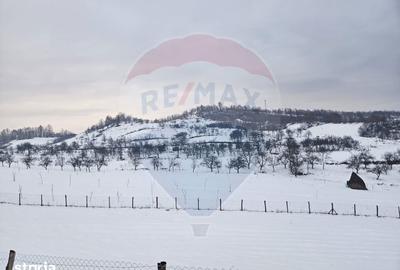 Teren de 4301 mp, în Bârsana - 6