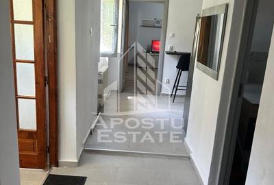 Casă cu 3 camere cu Teren 60 Mp în Iosefin