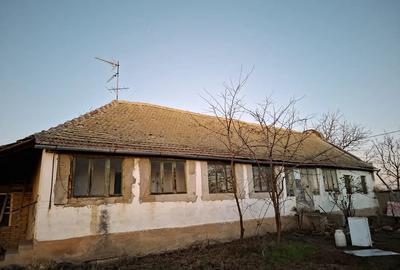 Casă cu Teren 2156 Mp în Dudeștii Vechi